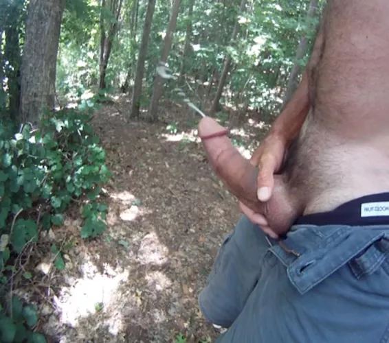 Little walk on the Trail