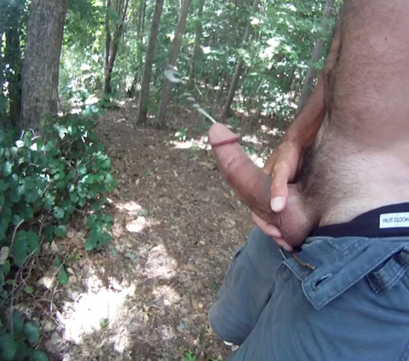 Little walk on the Trail