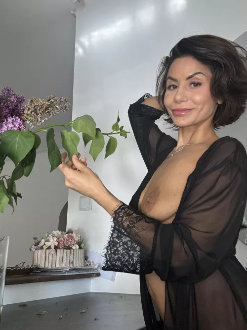 Loving these spring lilacs