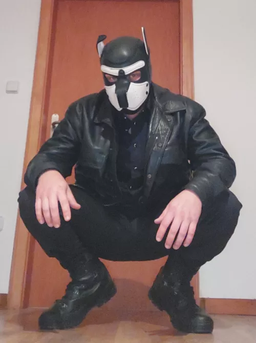 May i introduce the german leaterpup Ody