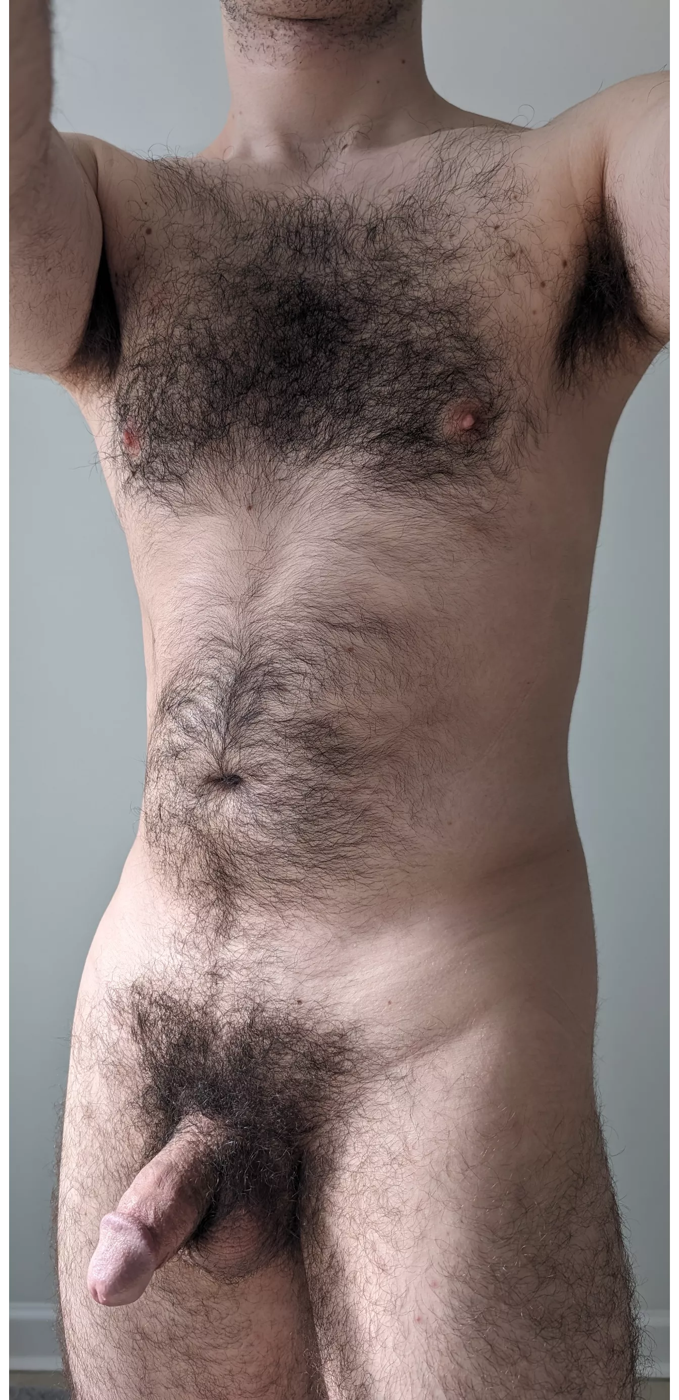 My softy this morning in the natural sunlight through the window