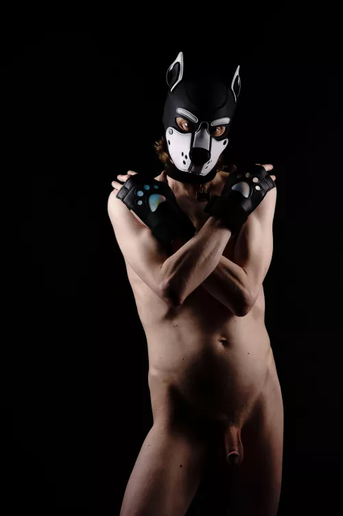 My two lifestyles in one picture, nudist and puppy 😊