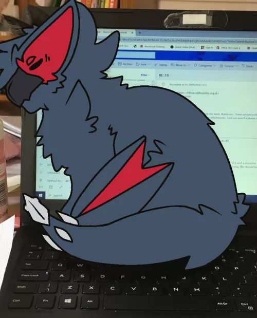 on their puter.. (By @RuiOnRollers)