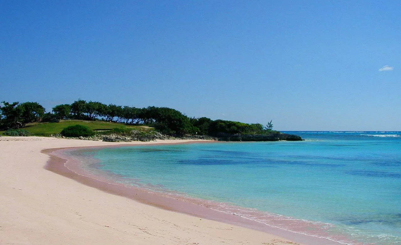 Pink Sands Beach