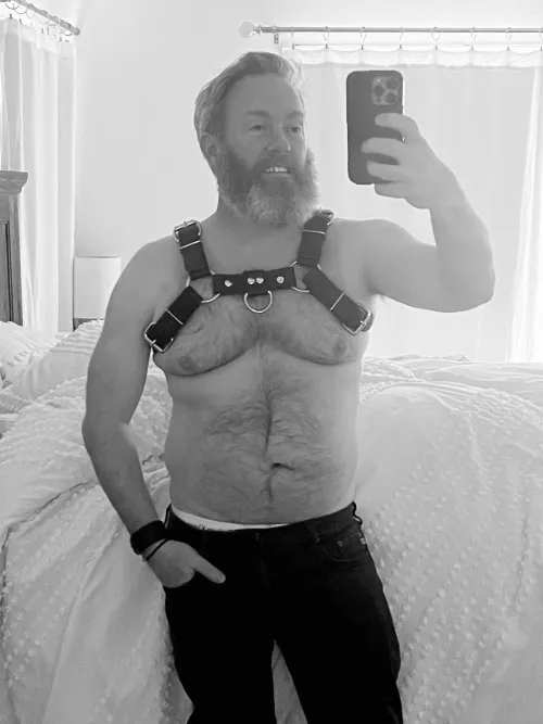 Purchased my first leather harness, was about time. What do you guys think?