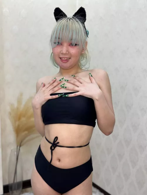 Teach your kitty a new command