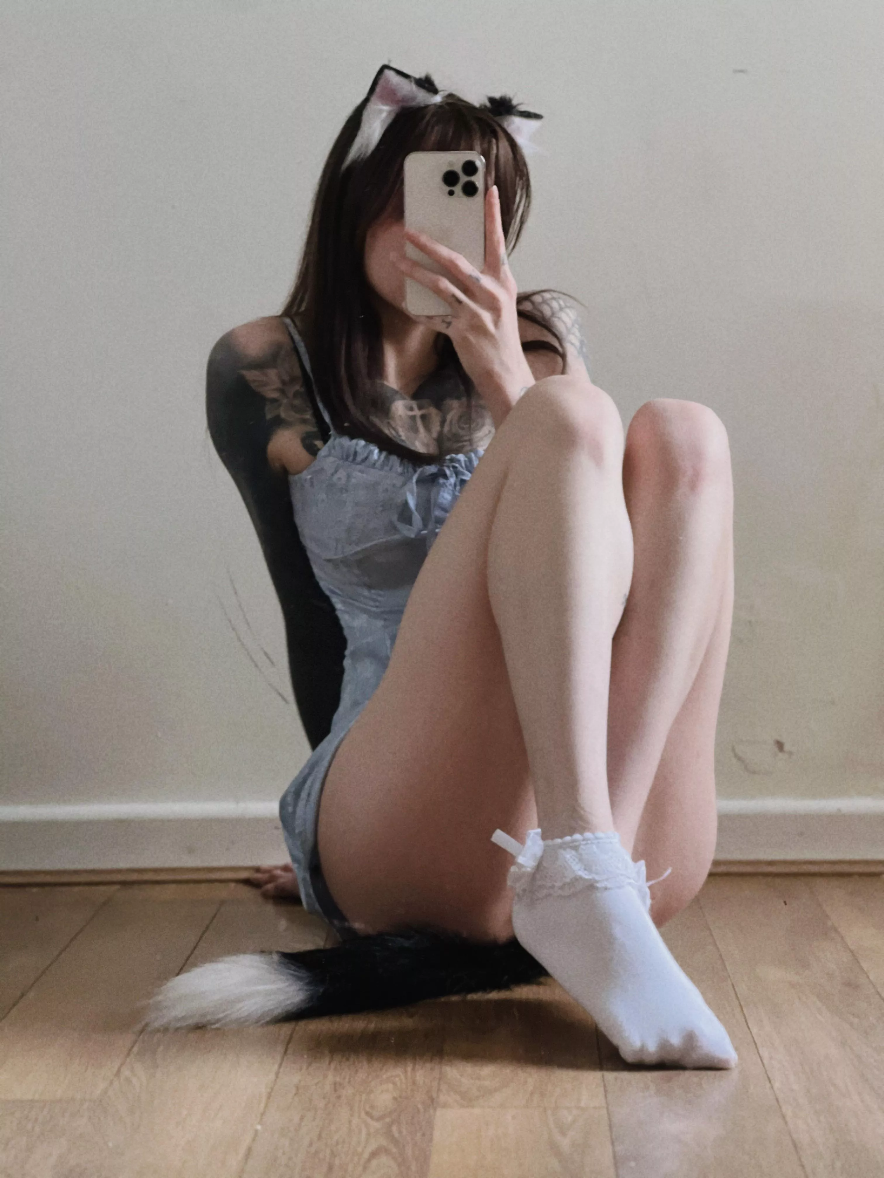 Up for adoption 🐾