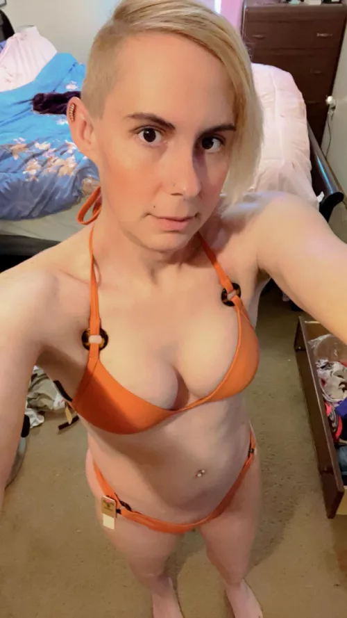 36, Trans for sale