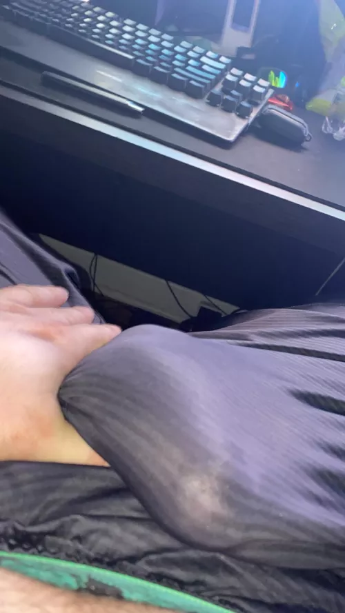 A little precum for you <3