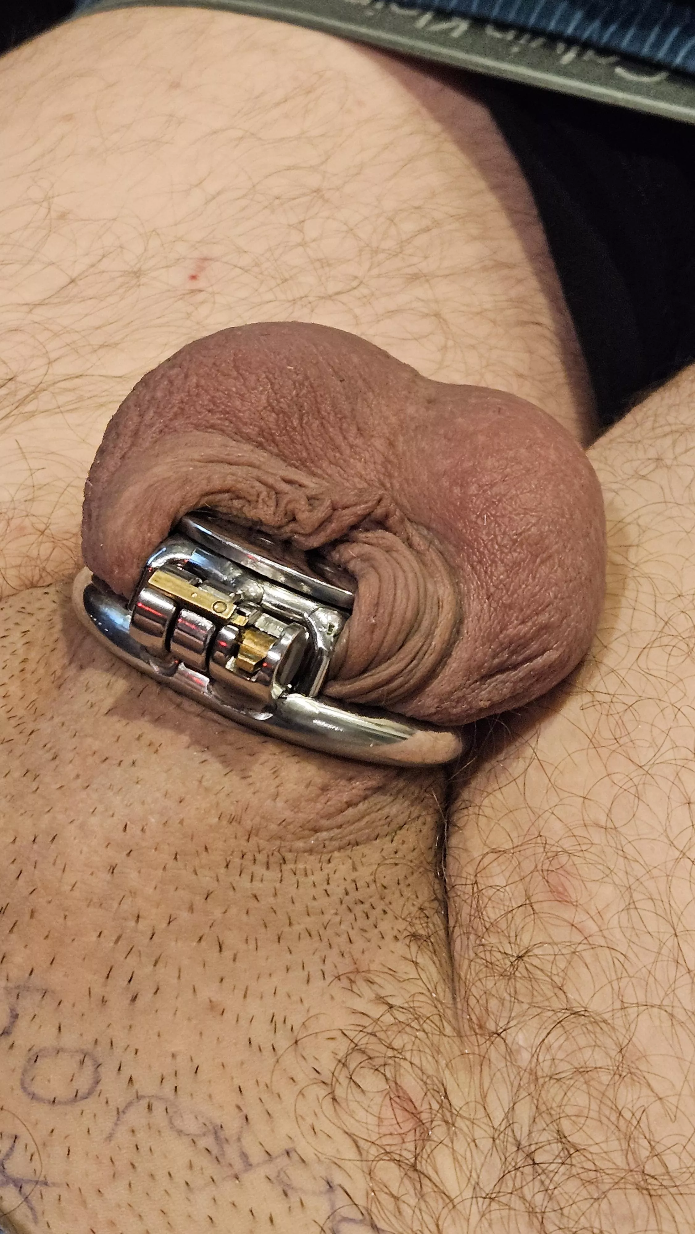 Anyone else think the flat cage is very comfortable?