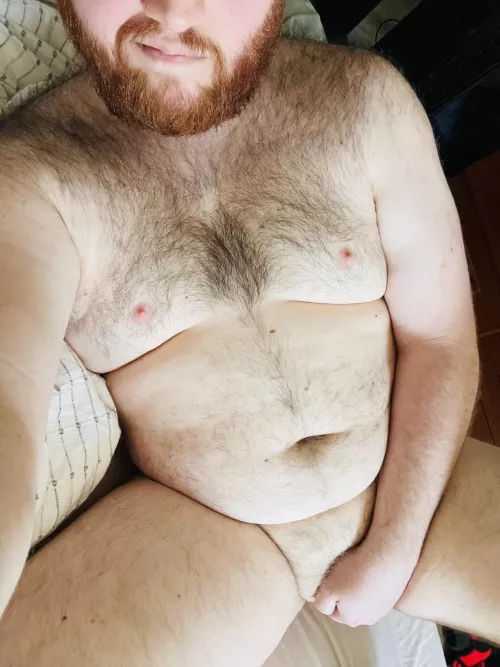 Do you like Ginger Cubs?