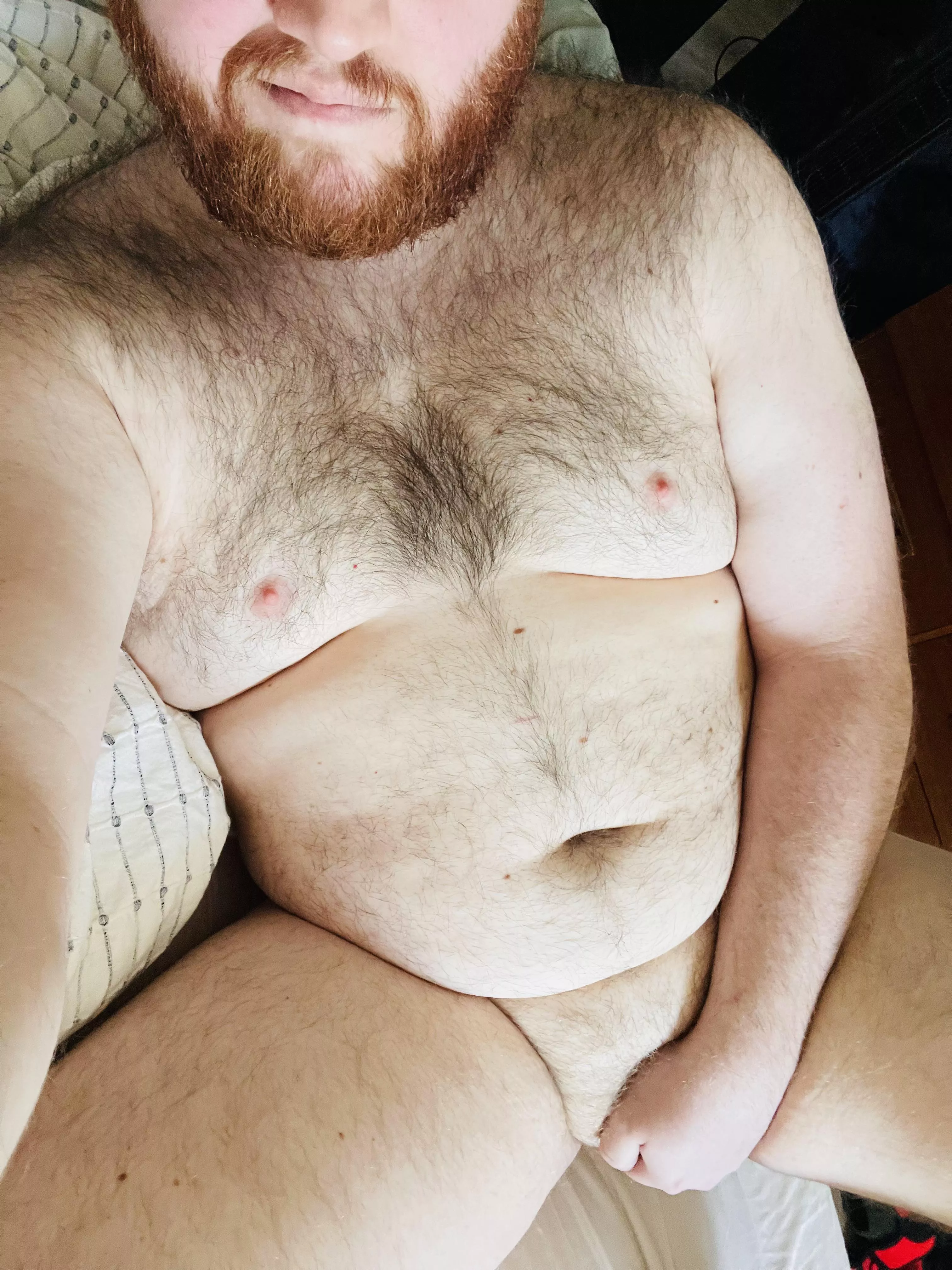 Do you like Ginger Cubs?