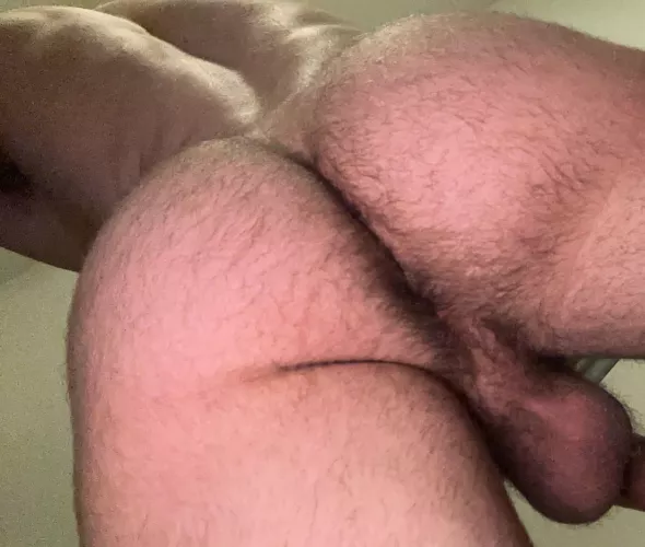 Eat or fuck my hairy ass bro?