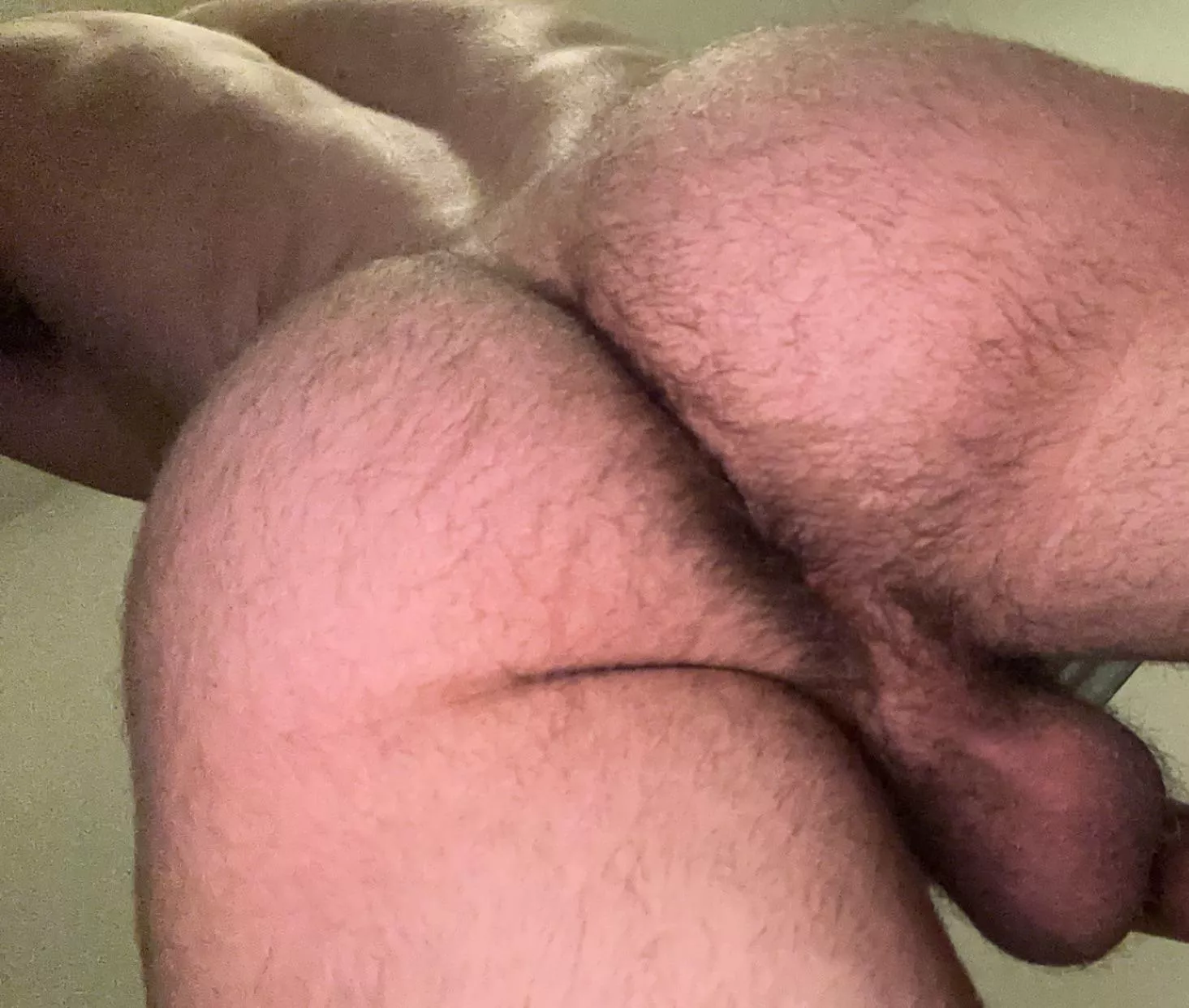 Eat or fuck my hairy ass bro?
