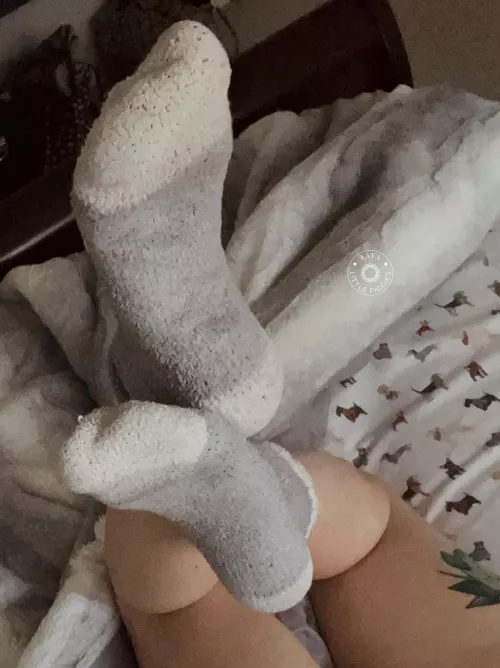 Good morning ☀️🐣