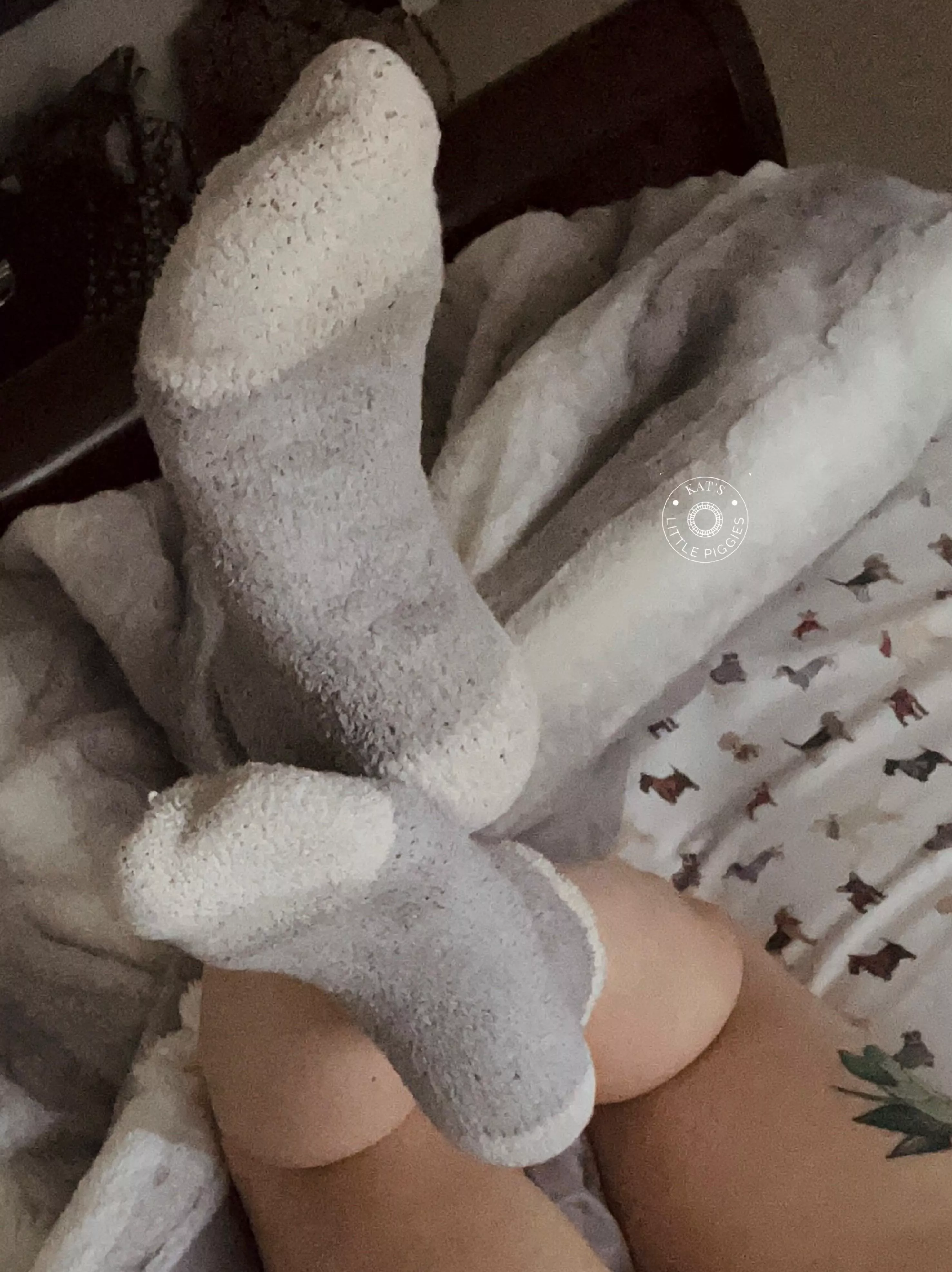 Good morning ☀️🐣