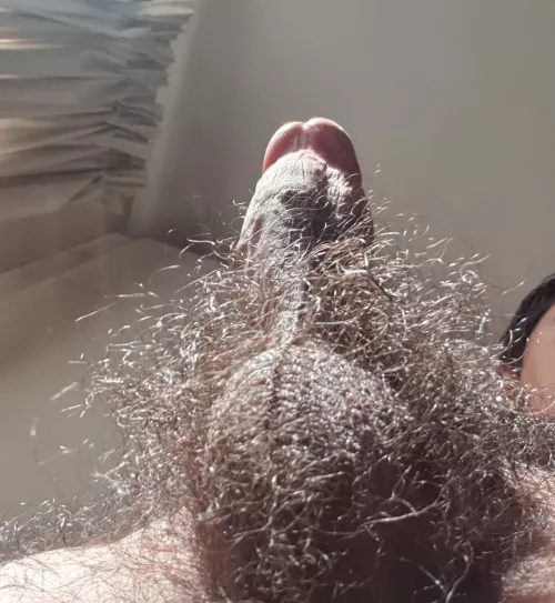 Hairiest you've ever seen