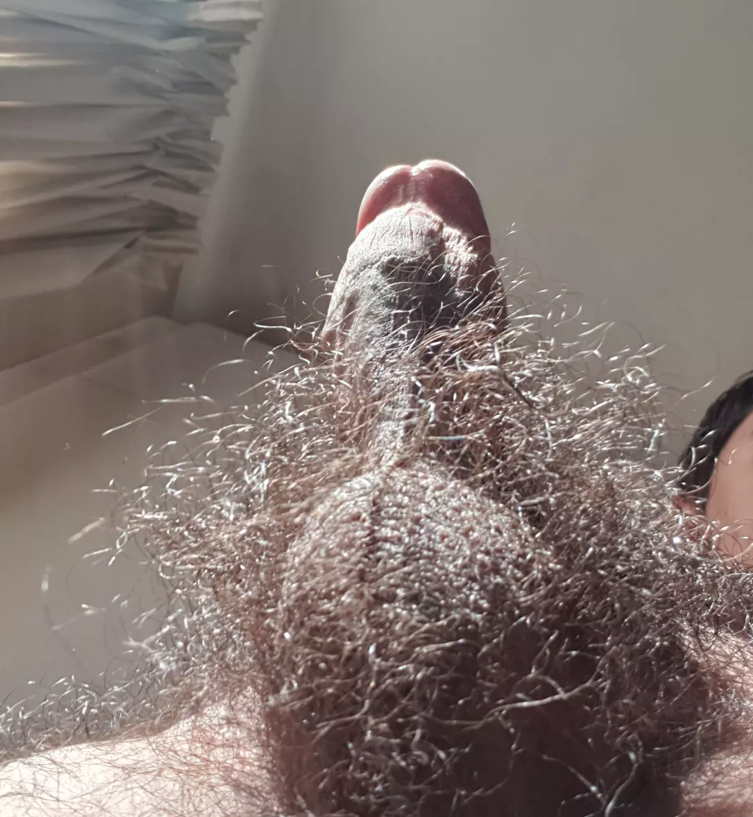 Hairiest you've ever seen