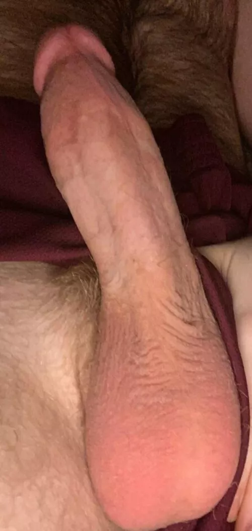 Here to help get you wife pregnant 