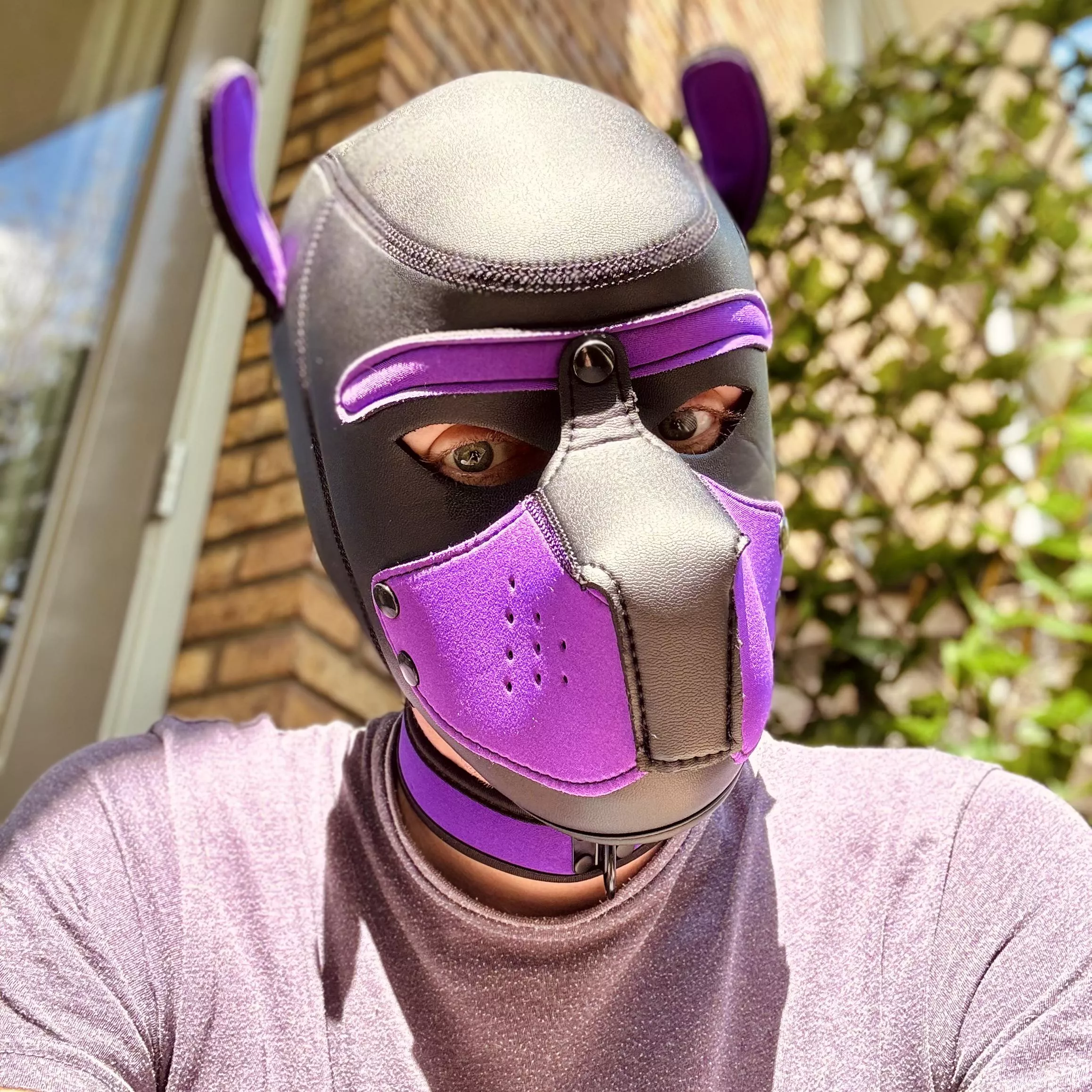 Met a bunch of new of pup yesterday, pawwsome buddies it seems!! 🐶🐾💜