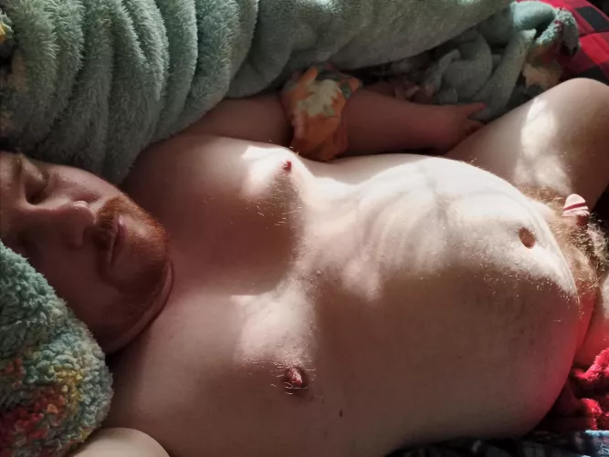 Nap Time for Ginger Cub