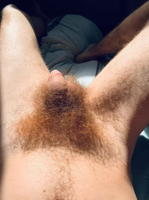 Nature has spoiled me with cock hair