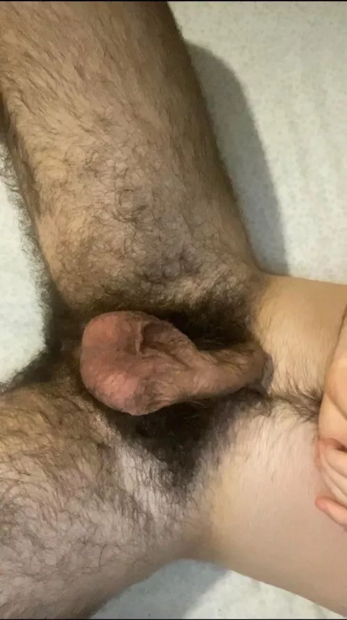 Not posted in a while here, how’re my pubes looking?