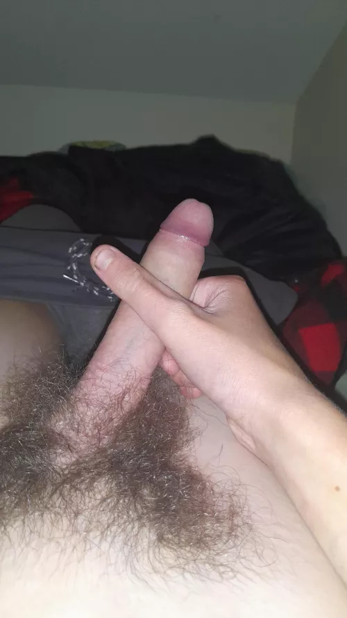 Pm me if you want to fuck me(Tasmania Australia)