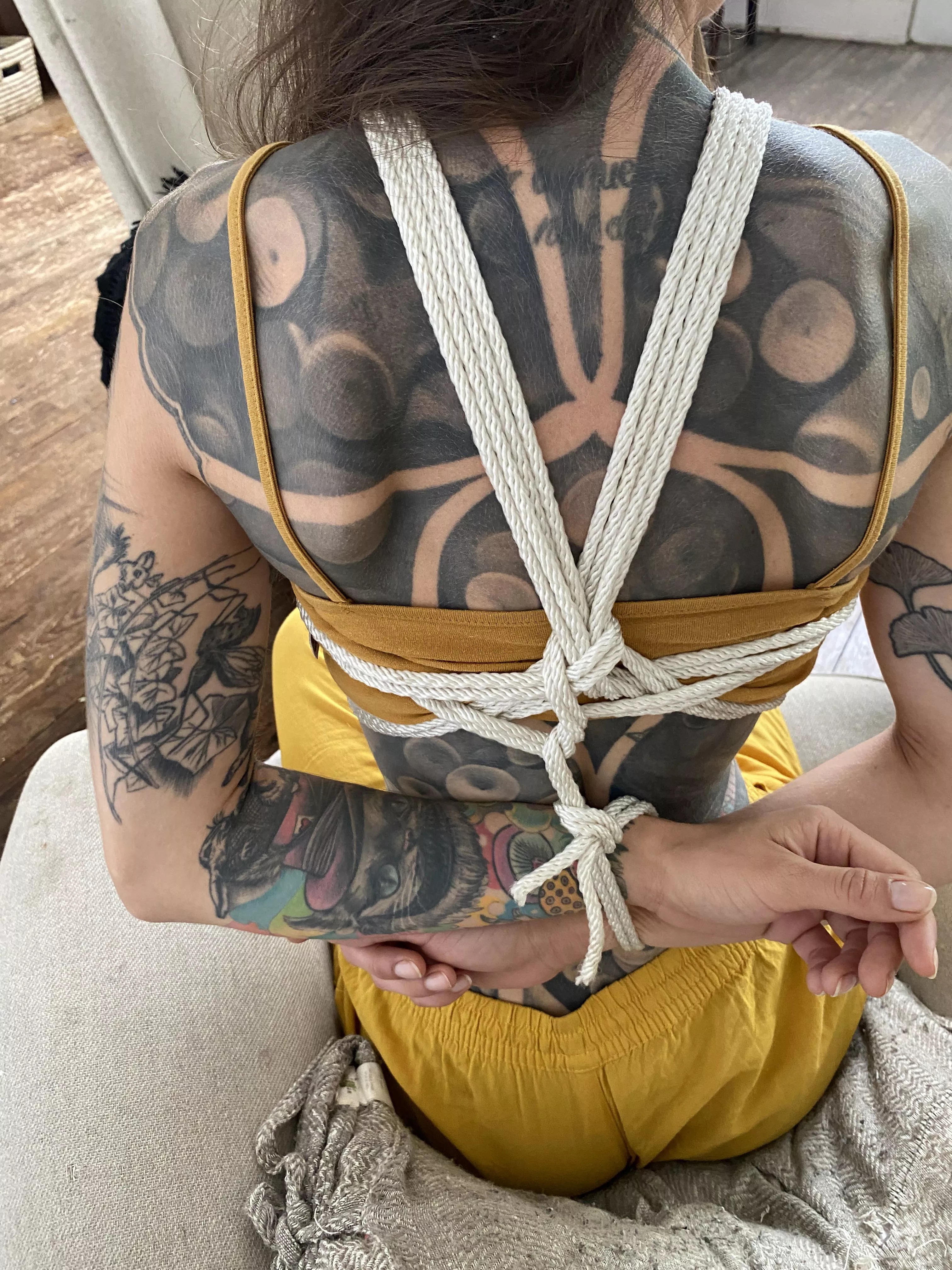 Update from the back✨