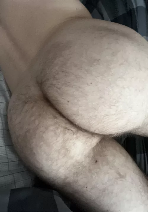 Where are the dads that like hairy ass? (21)