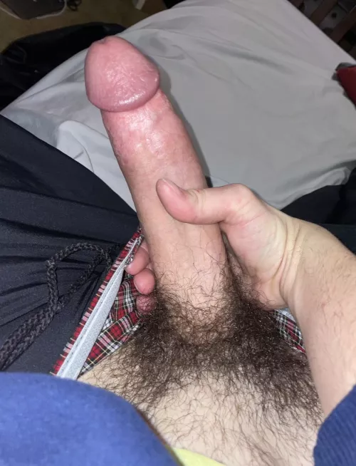 Who’s body can I use 