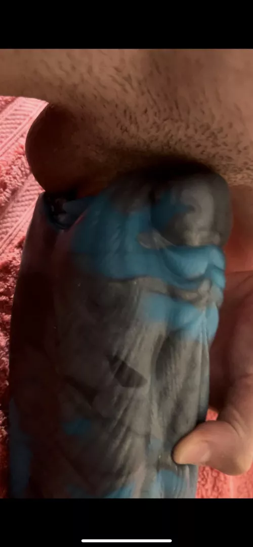 A little sneak peak of my bf enjoying his David muzzle 😁