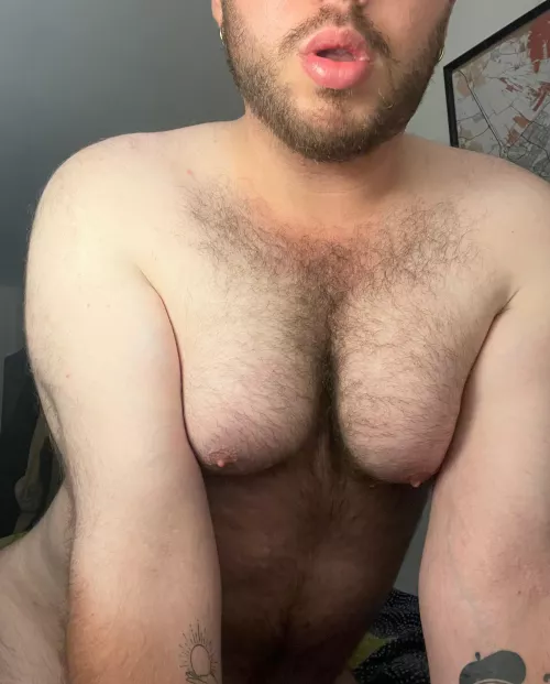 anyone a fan of bears with hairy tits?