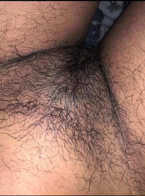 Are brown bushy babes your type? 