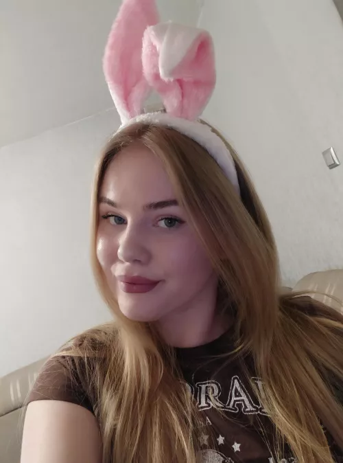 cute bunny