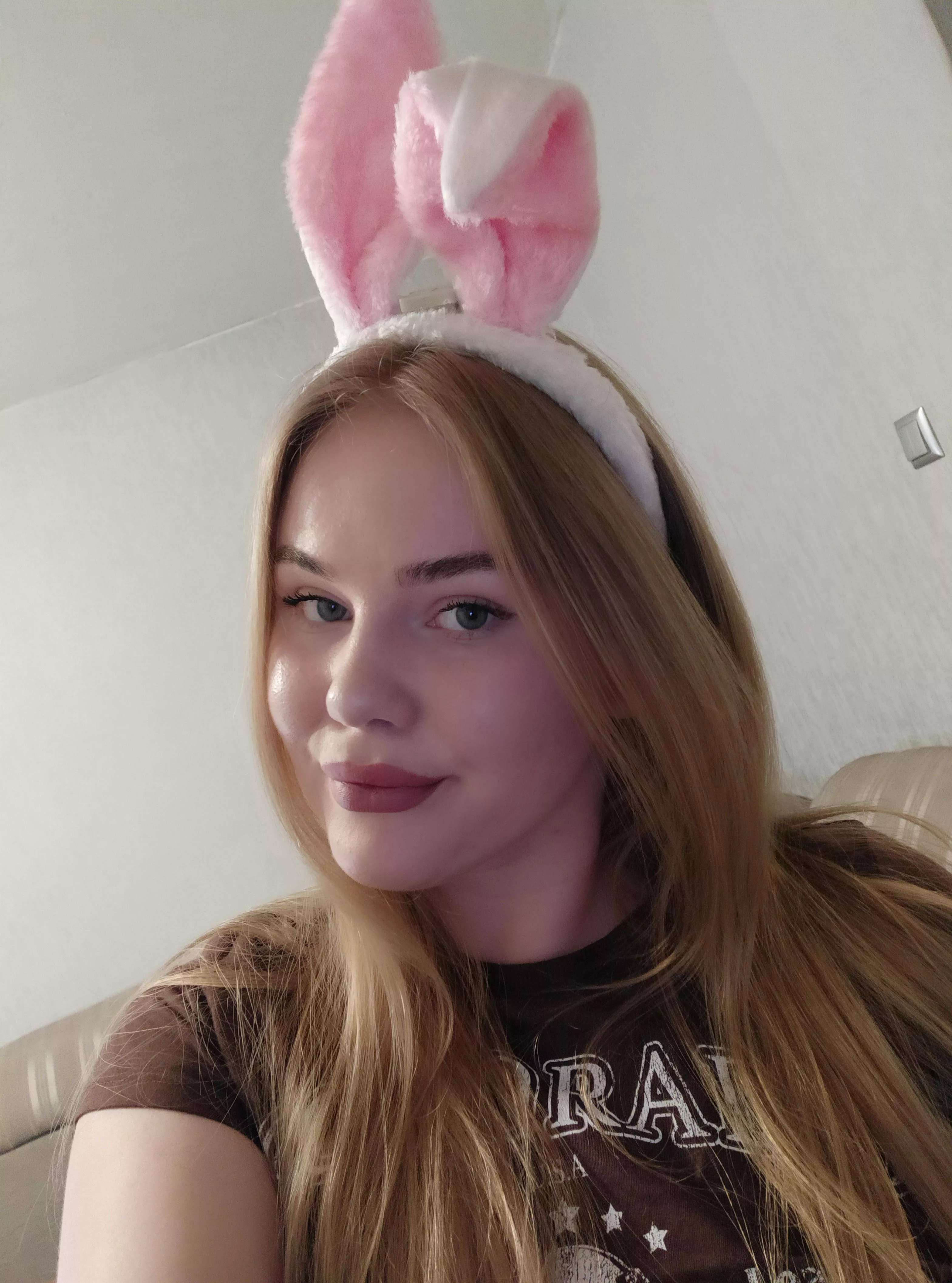 cute bunny