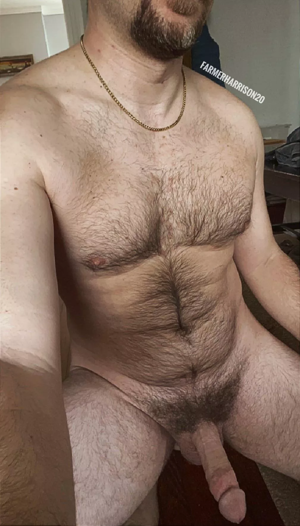 Definition of a hung otter bro. My cock was leaking when I woke up.
