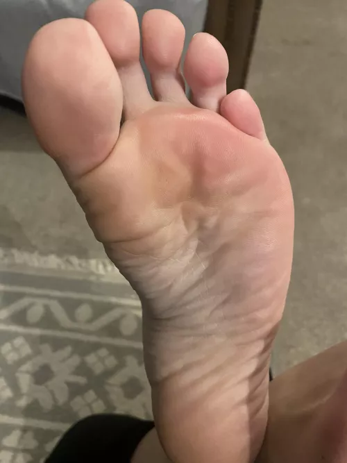 Do you want to sniff?