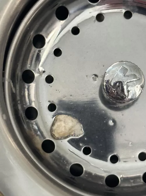 Double ear infections and the Dr flushed this out of one of my ears.