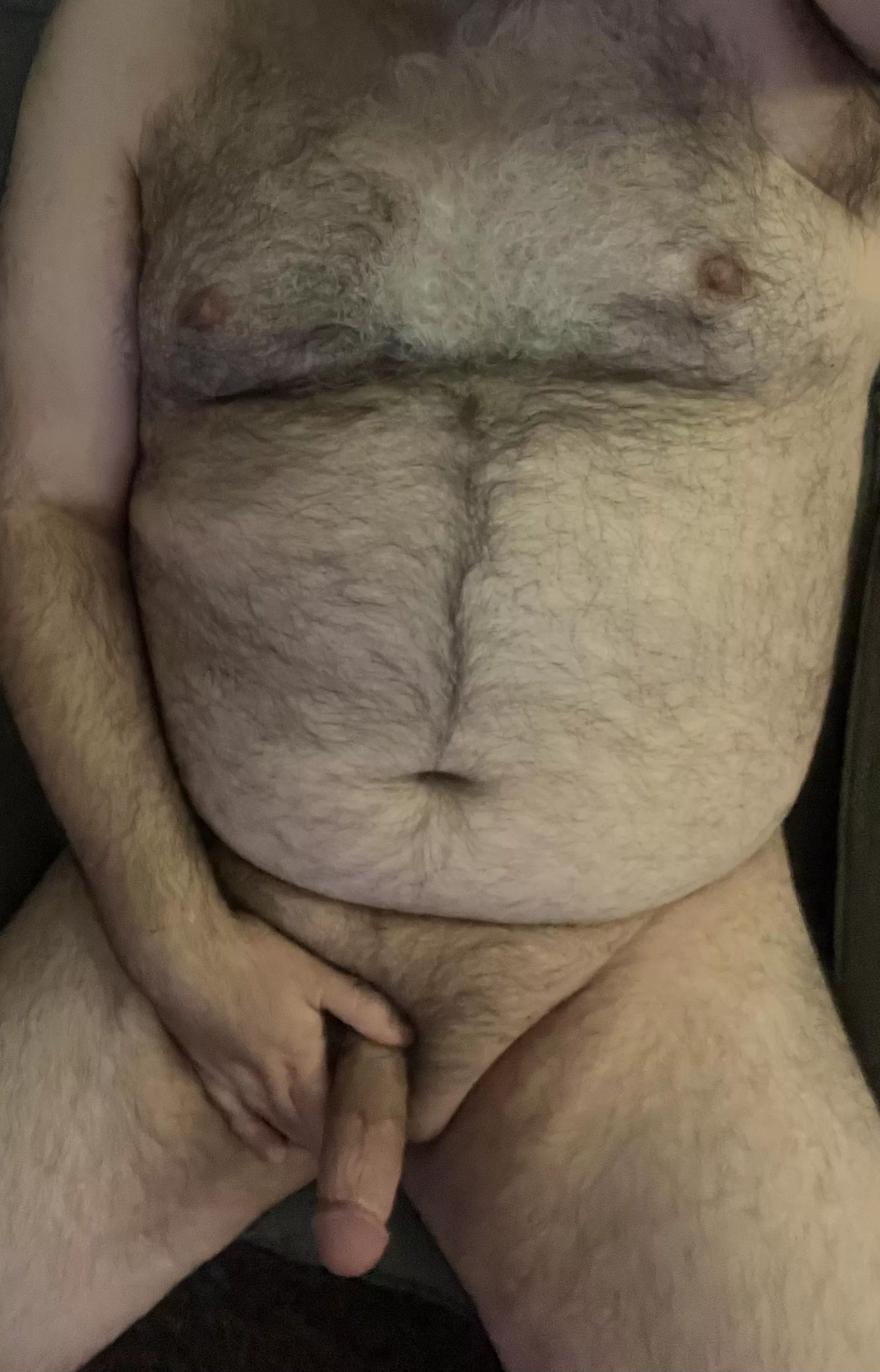 Hanging out this morning. Thoughts?