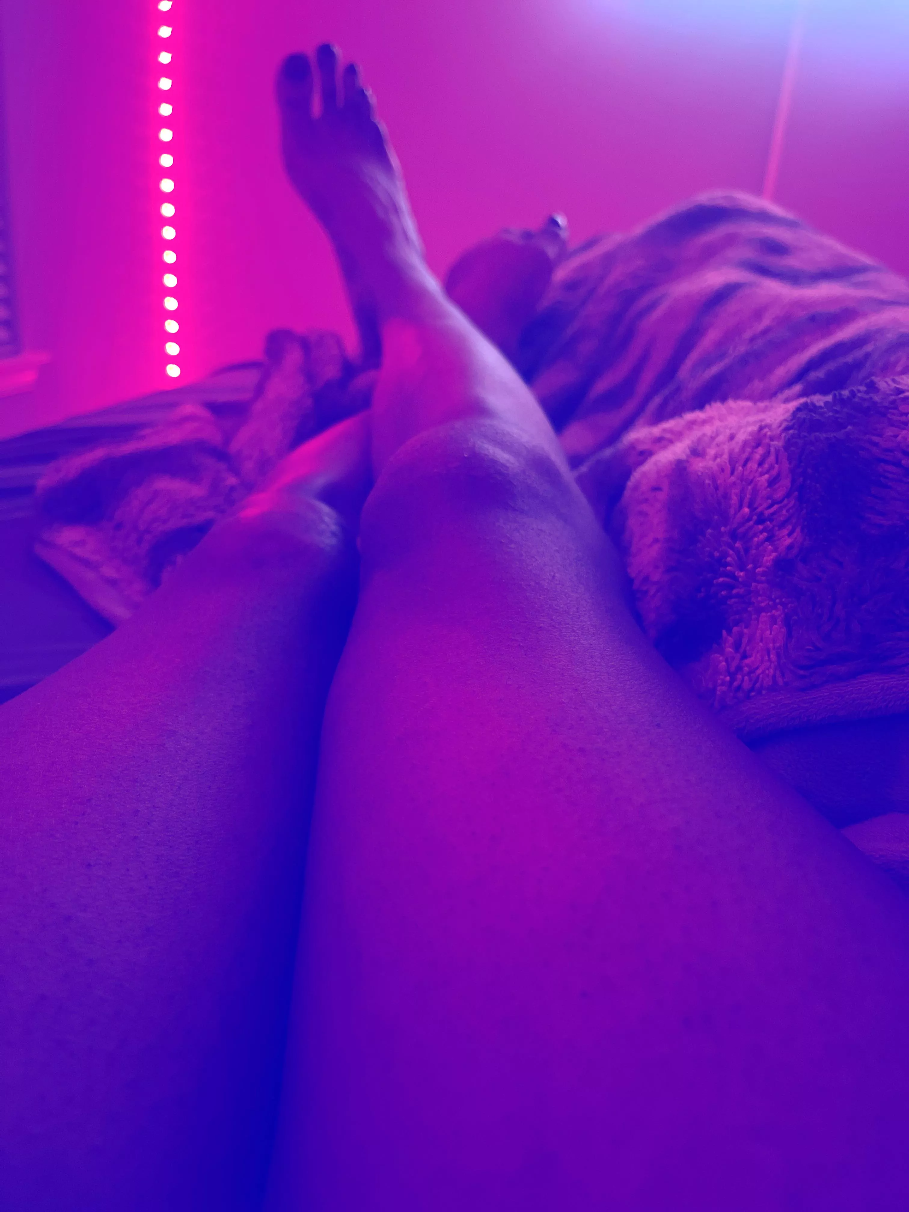 I need a worshiper 🦄. 