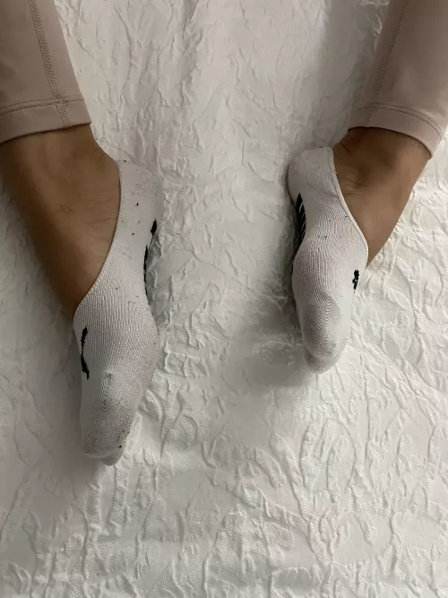 I want my socks sniffed