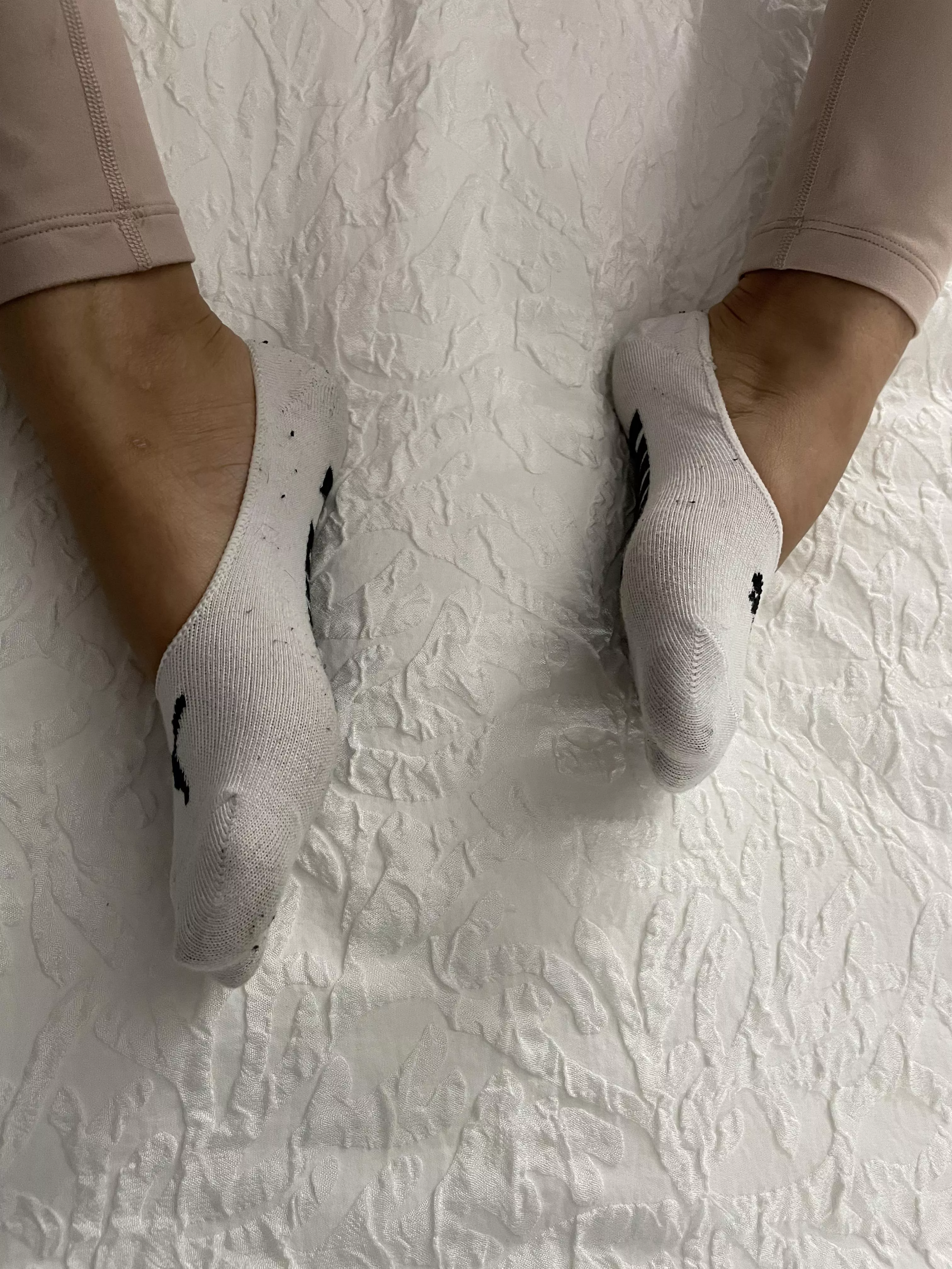 I want my socks sniffed