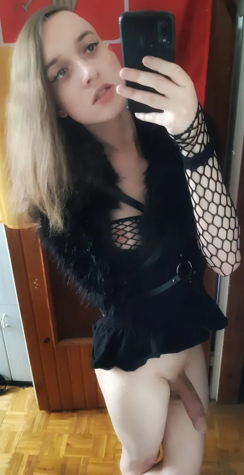 let the harvest begin