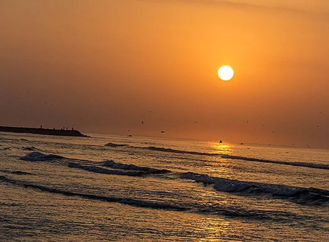 Oman Shell Beach Muscat