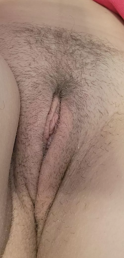 Rate my furry pussy please 