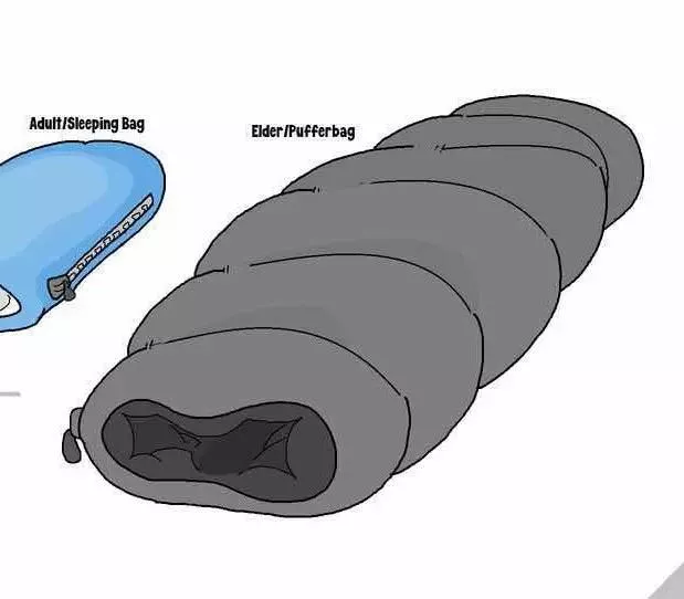 {request} I can’t seem to find the whole image of this.