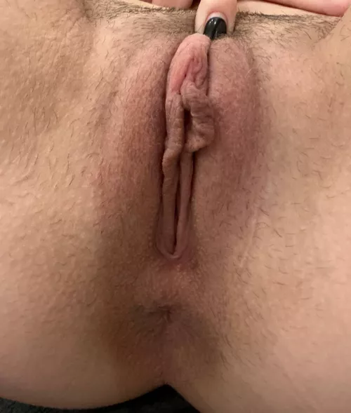 Should I shave or grow a bush?