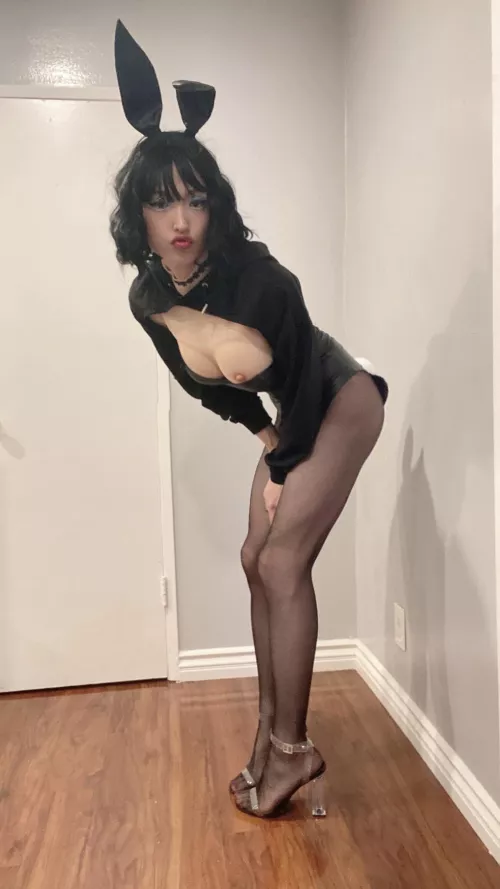 Sissy bunny at your service 👯‍♀️