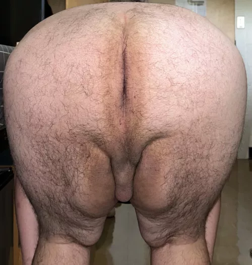 This fat ass needs someone to take care of it 